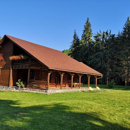 Casa De Vacanta Dintre Brazi Topliţa Exterior foto