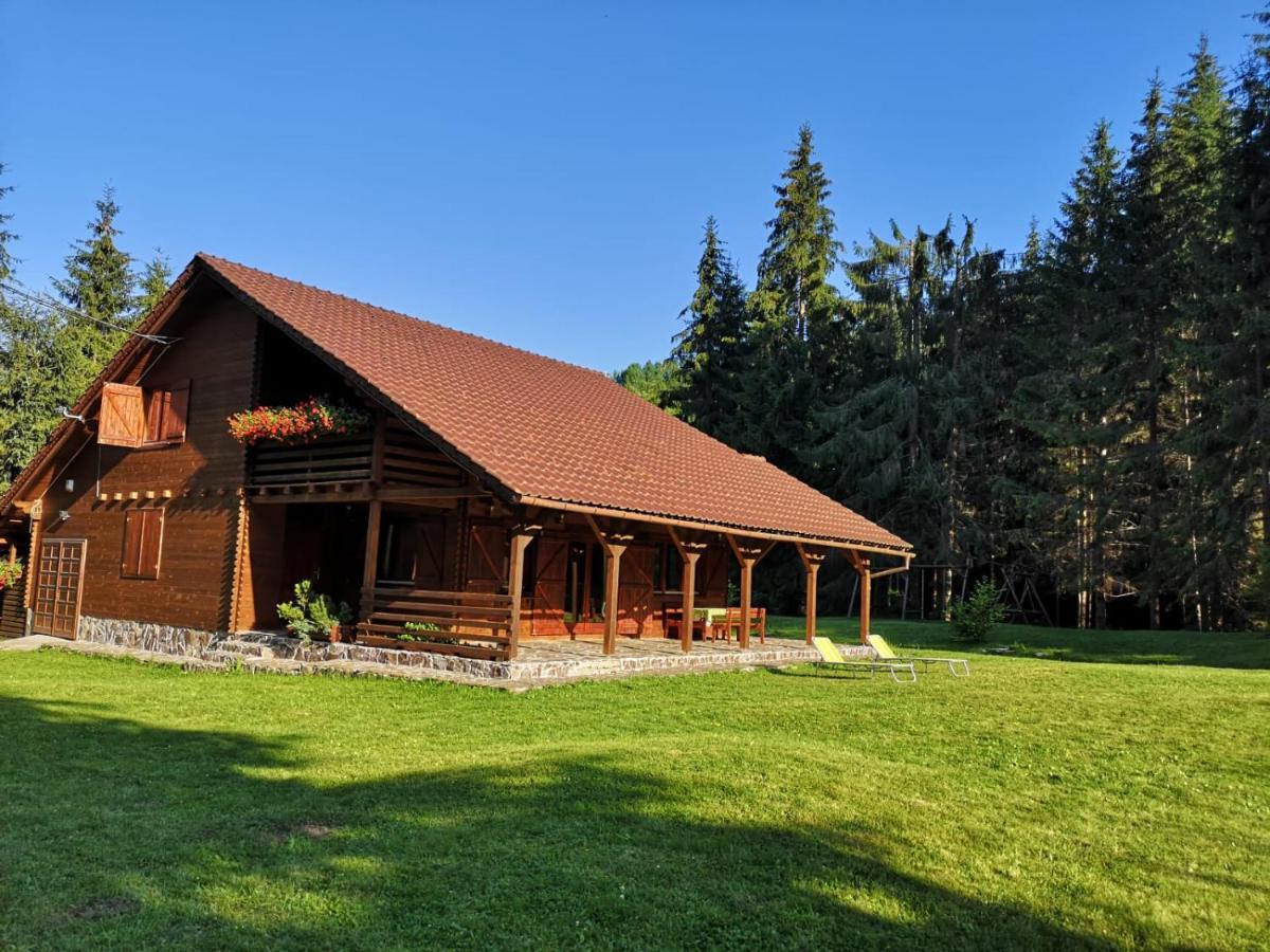 Casa De Vacanta Dintre Brazi Topliţa Exterior foto