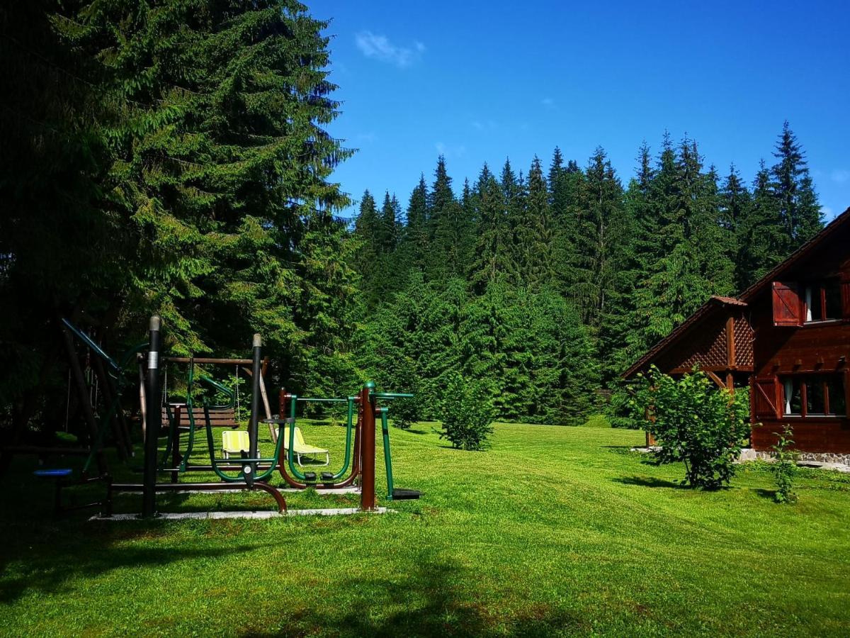 Casa De Vacanta Dintre Brazi Topliţa Exterior foto