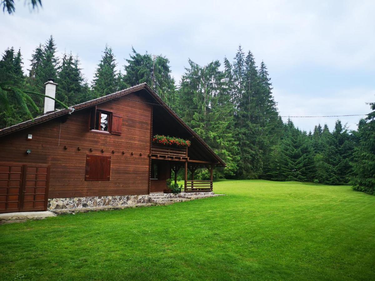 Casa De Vacanta Dintre Brazi Topliţa Exterior foto