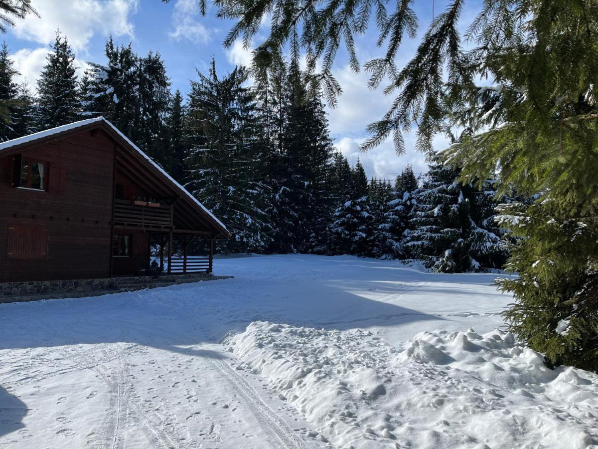 Casa De Vacanta Dintre Brazi Topliţa Exterior foto