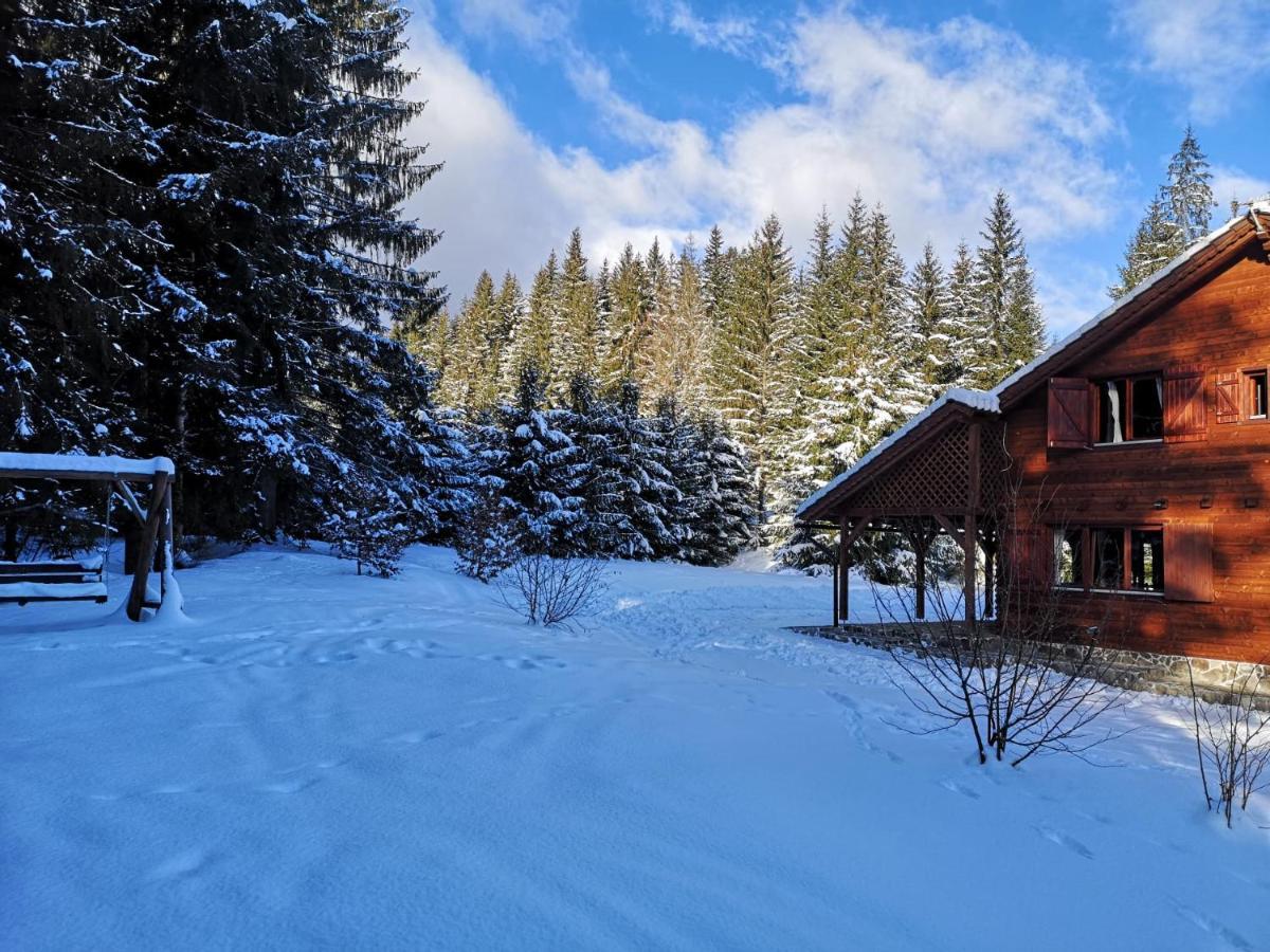 Casa De Vacanta Dintre Brazi Topliţa Exterior foto