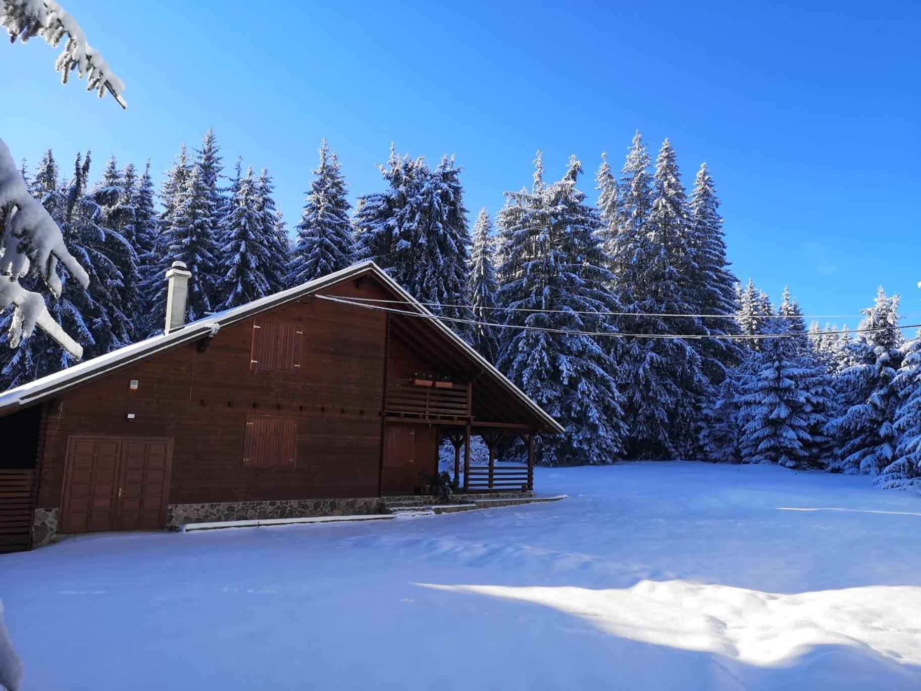 Casa De Vacanta Dintre Brazi Topliţa Exterior foto
